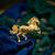 Elegant running horse designer brooch pin for women & men