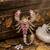 Luxury pink crystal scorpion designer brooch pin for women