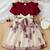 Maroon & cream butterfly print net party wear fit & flare dress for girls