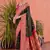 dark green & pink banarasi silk blend weaving sarees