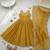 yellow silk blend embroidered gown set