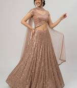 Brown Sequin Embroidered Circular Lehenga with V Neck Blouse