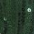 Green Sequins Work Circular Lehenga with Sweetheart Neck Blouse