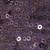 Purple Sequins Work Circular Lehenga with Sweetheart Neck Blouse