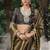 Olive multi embroidered tissue silk saree