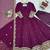 Plum Color Thread With Sequence Work Faux Georgette Gown Bottom Set
