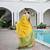 Yellow color khadi  silk blend weaving patola sarees