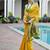 Yellow color khadi  silk blend weaving patola sarees