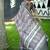 Multicolor dhanwari cotton digital print zari border saree