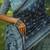 Multicolor dhanwari cotton digital print zari border saree