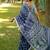 Multicolor dhanwari cotton digital print zari border saree