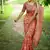 Multicolor dhanwari cotton digital print zari border saree