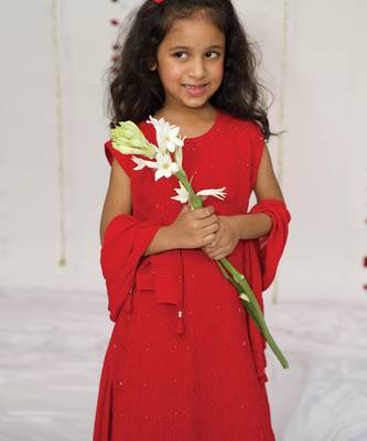 Red embroidered georgette sharara set 2