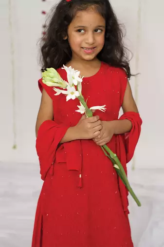 Red embroidered georgette sharara set