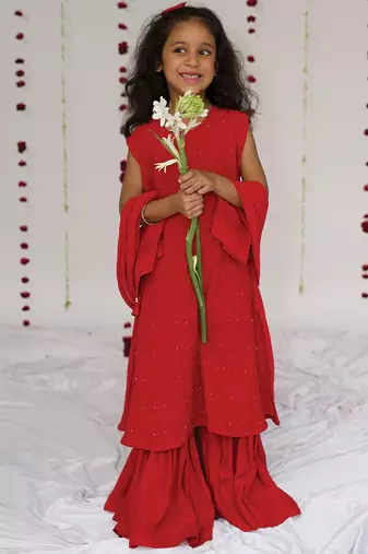 Red embroidered georgette sharara set
