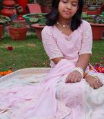 Pink embroidered pure georgette lehenga set