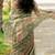 women's floral print kota doria saree -green