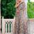 women's floral print chiffon saree -grey