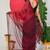 women's floral print georgette saree -red