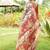 Multicolor tussar silk kalamkari printed sarees
