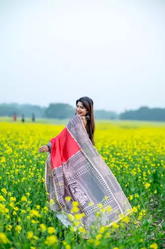Red color tussar silk blend madhubani print sari