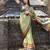 Green blended cotton woven zari work saree with blouse