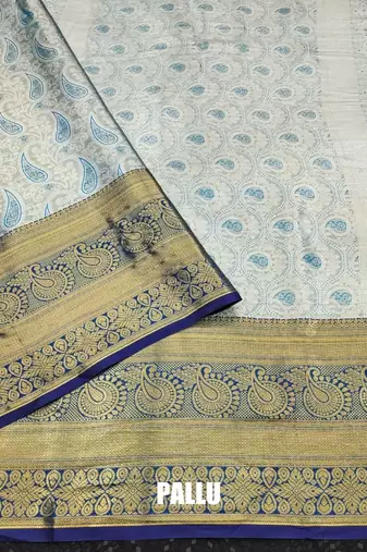 Light blue pure silk printed zari work saree with blouse