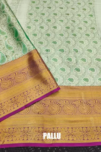 Green pure silk printed zari work saree with blouse