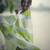 Dark green linen printed zari work saree with blouse