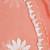Pink pure cotton printed floral print saree with blouse