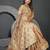 Maharanga Beige Satin Saree with Floral Zari & Thread Work, Rich Pallu & Running Blouse Piece