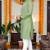  pista plain cotton blend  men's  kurta