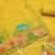 Premium cow design jamdani muga cotton salwar kameez material