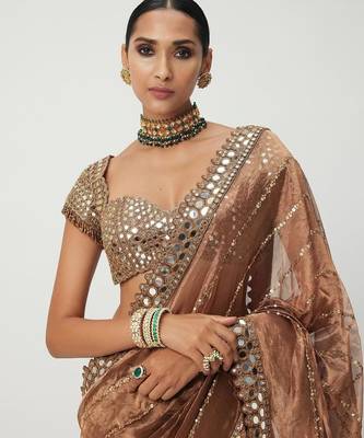 Copper sequin embroidered, mirror work,  zimmy choo silk bollywood saree with blouse 2
