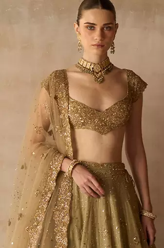 Gold Embroidered Tissue Silk Lehenga Set