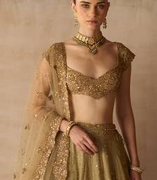 Gold Embroidered Tissue Silk Lehenga Set