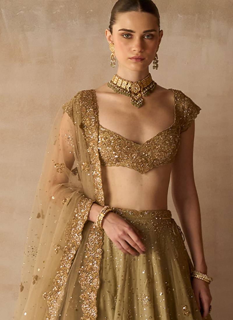 Gold Embroidered Tissue Silk Lehenga Set