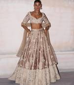 Champagne Brown Embroidered Silk Lehenga Set