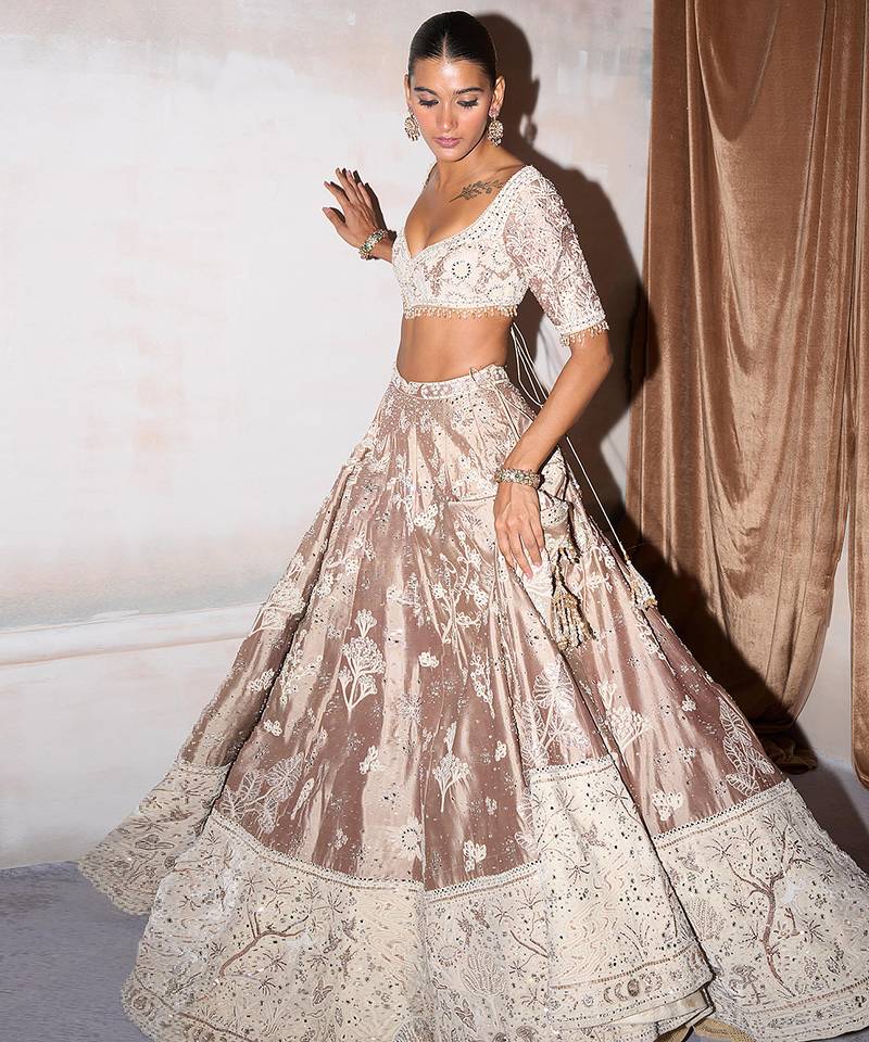 Champagne Brown Embroidered Silk Lehenga Set