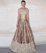 Champagne Brown Embroidered Silk Lehenga Set