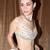 Champagne Brown Embroidered Silk Lehenga Set