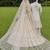 Ivory Embroidered Tulle Lehenga Set With Veil