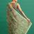 Green printed, sequin embroidered chinnon silk bollywood saree with blouse