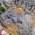 Grey mirror work, cut work soft burberry silk bollywood saree with blouse