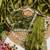 Mehendi mirror work, cut work soft burberry silk bollywood saree with blouse