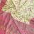 New latest trendy wedding wear pashmina silk saree