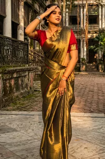 sunehri kiran gold handloom tissue saree
