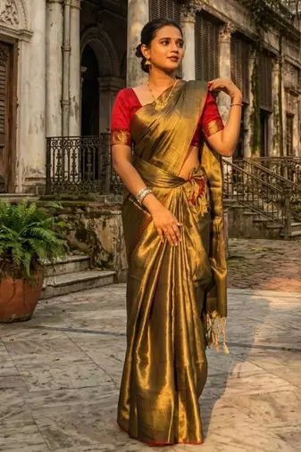  sunehri kiran gold handloom tissue saree