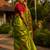  virana green handloom tissue saree