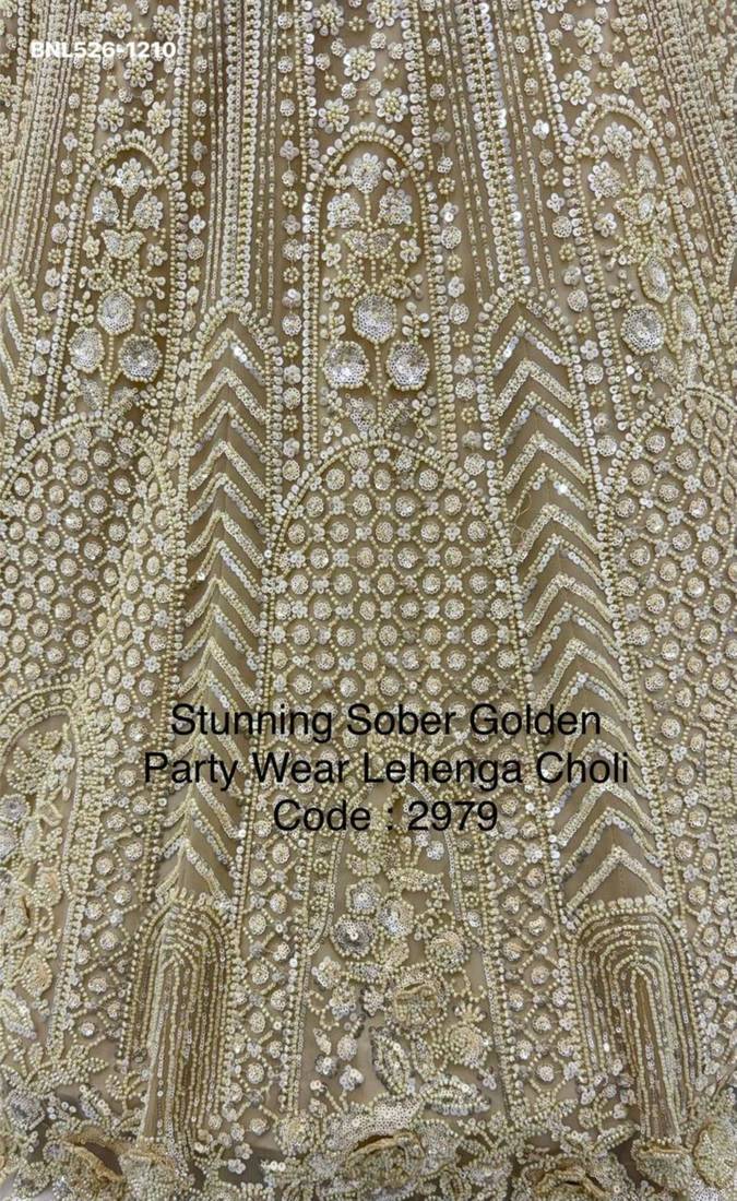 beige net embroidered Lehenga set